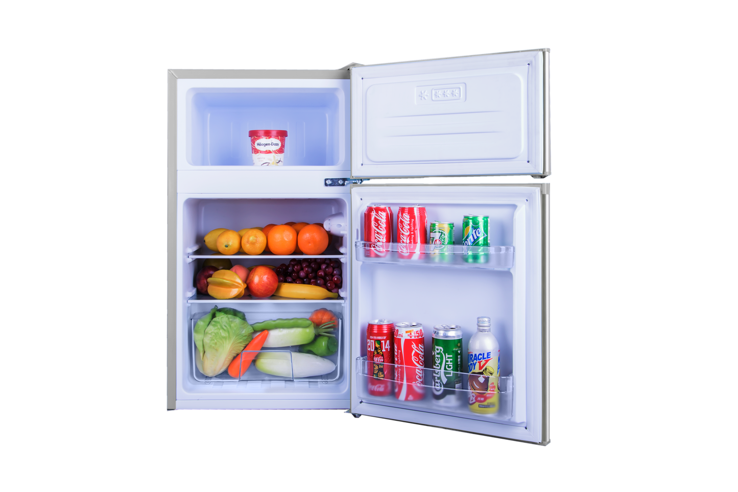 DX850 2 Door Refrigerator